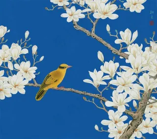 玉兰黄鹂图花鸟国画