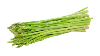 芦笋 (10)超市商品白底图免抠实物摄影png格式图片透明底