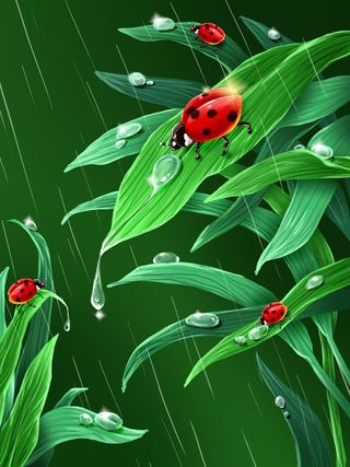 谷雨二十四节气海报设计