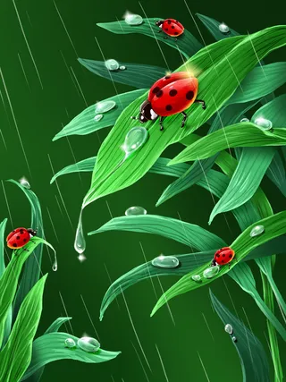 谷雨二十四节气海报设计