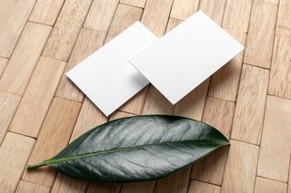 文创办公植物名片信纸品牌VI设计展示场景智能贴图样机