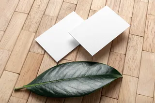 文创办公植物名片信纸品牌VI设计展示场景智能贴图样机