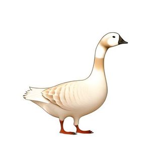 鹅动物免抠