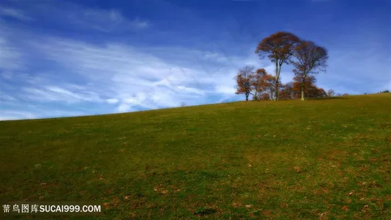 草地大树风景画壁纸