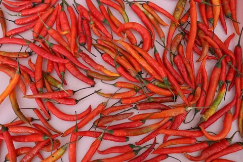 红色小甜辣椒图片 红色小甜辣椒图片