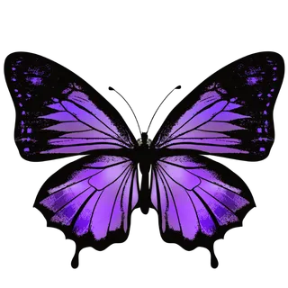 卡通动画动画蝴蝶免扣PNG手绘插画图片素材 (41)