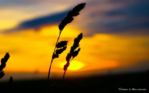 图片素材背景光影艺术 图片素材背景光影艺术