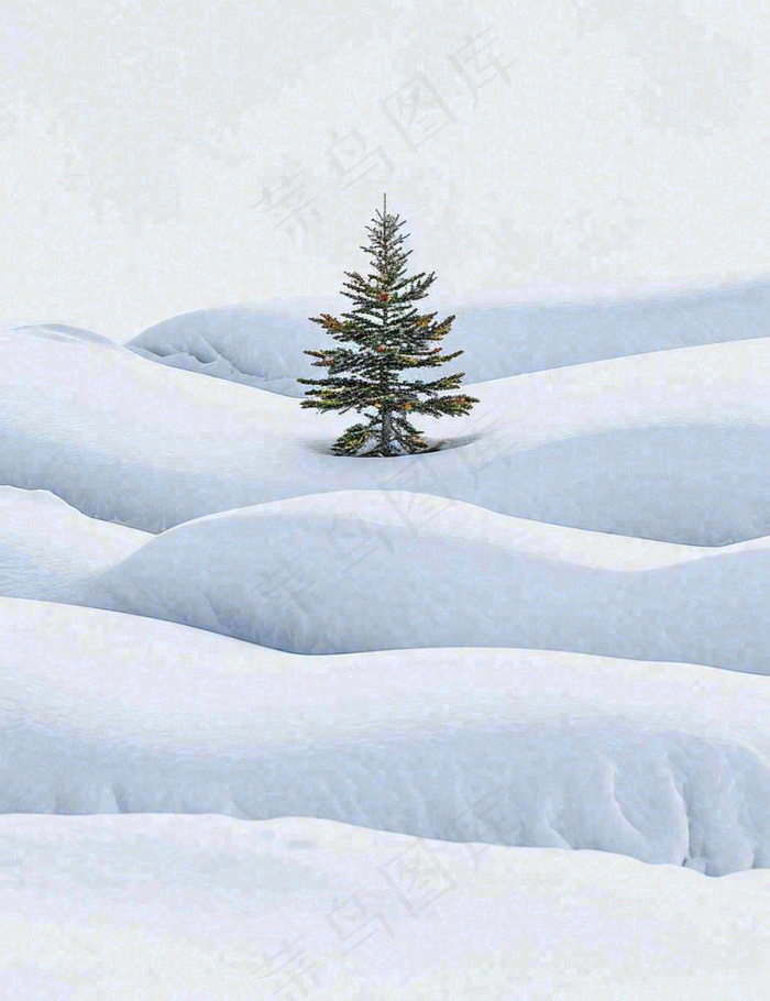 冬天意境简约松树雪地，立冬冬至小雪大雪小寒大寒(960x1248)