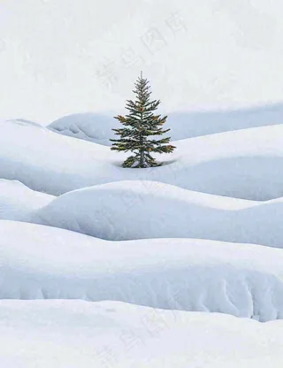 冬天意境简约松树雪地，立冬冬至小雪大雪小寒大寒