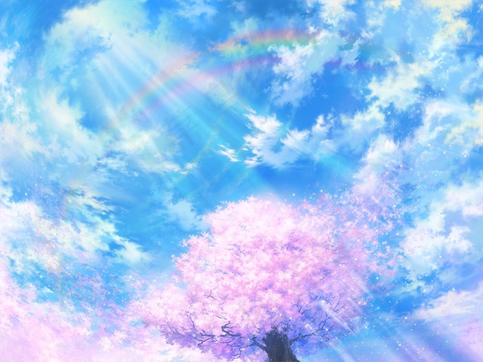 空彩樱花纪念壁纸