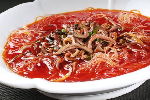 XCXC0445川-粉丝鳝鱼