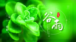 谷雨 谷雨活动海报