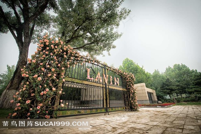 LAVIN玫瑰里场景