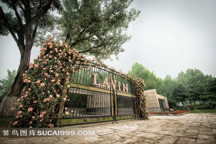 LAVIN玫瑰里场景