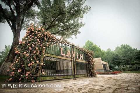 LAVIN玫瑰里场景