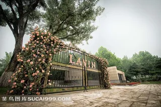 LAVIN玫瑰里场景