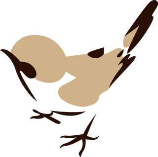 简约风手绘素描动画小鸟鸟儿免扣PNG图片素材 (76)