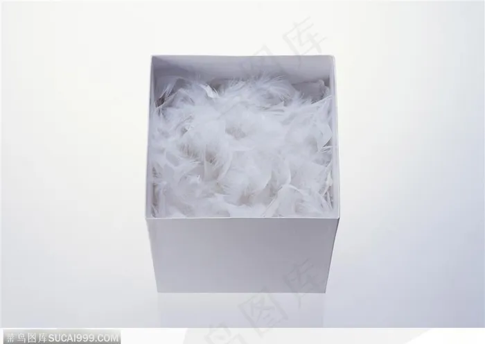 礼物饰品-装满羽毛的盒子