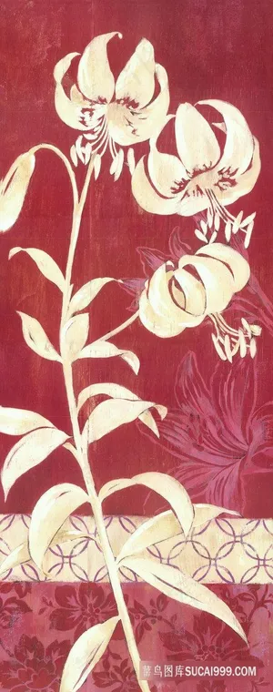 简约花卉植物插画