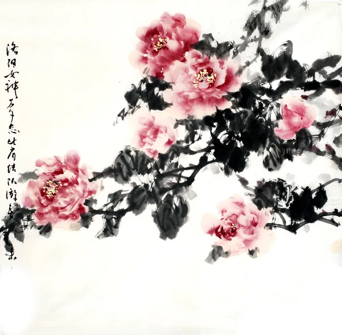牡丹_0019