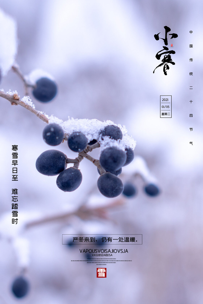 中国传统冬天小寒祝福24二十四节气节日宣传活动海报psd模版下载