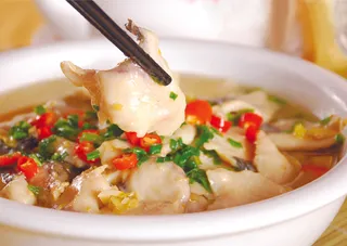  江鲢鱼摄影 美食 