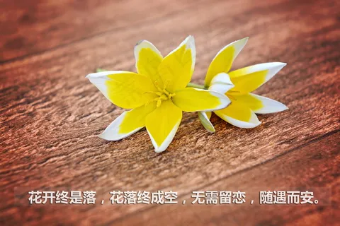 文字壁纸图片 文字壁纸图片