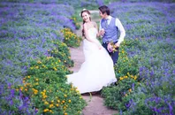 幸福恋人紫色薰衣草婚纱外拍精美写真