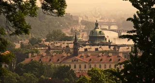 外国宫殿绿树中