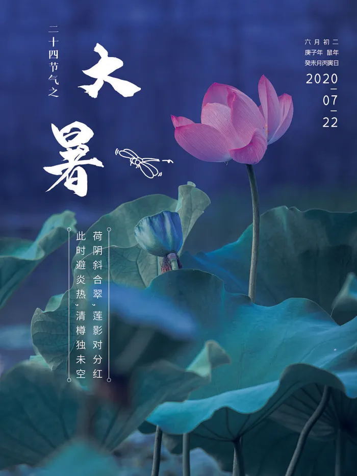 传统节日大暑海报psd模版下载