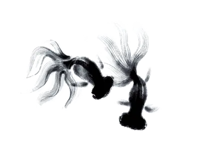 水墨金鱼古典元素传统