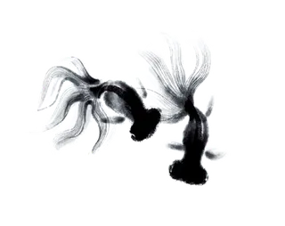 水墨金鱼古典元素传统