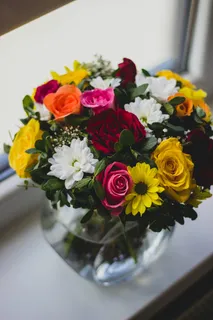 玫瑰花摄影图情人节玫瑰花配图图片 玫瑰花摄影图情人节玫瑰花配图图片