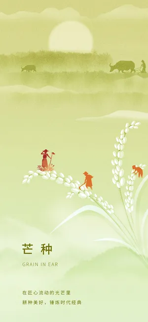 中国传统24节气芒种微信宣传海报