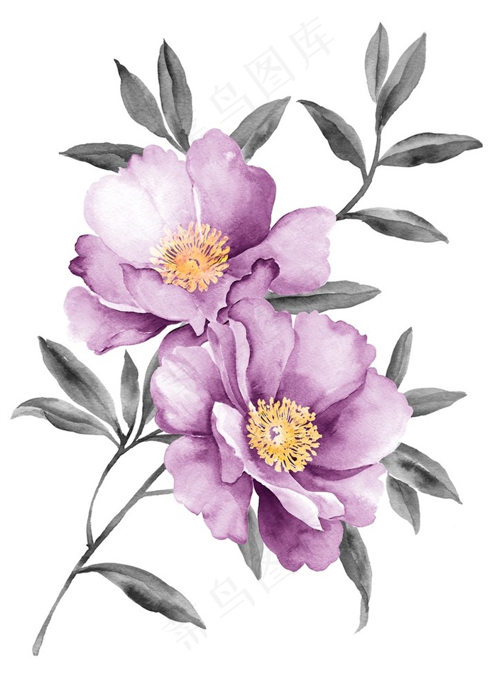 紫色唯美花朵水彩手绘图片