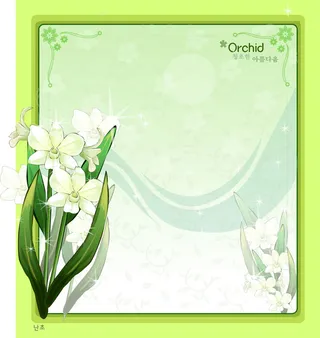 手绘花卉装饰边框背景