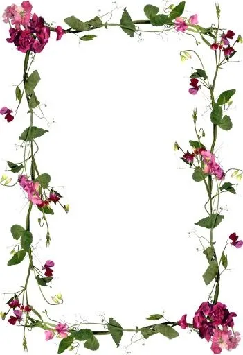 花框 PNG免抠(2802x4085)