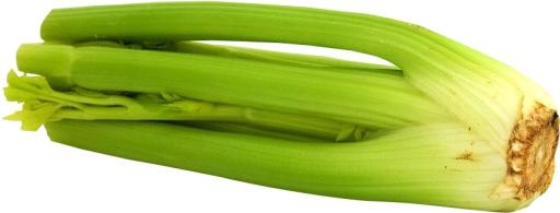 芹菜 PNG免抠(824x314)