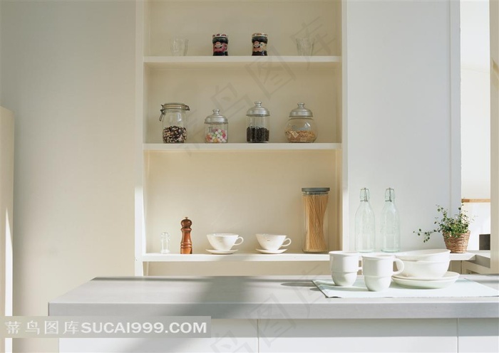 绿色盆栽   密封罐