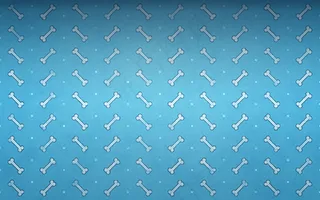 骨头平铺蓝色背景图片