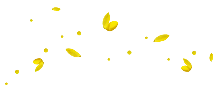 花瓣 免抠 漂浮 花瓣元素