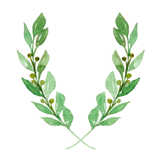 唯美森系手绘水彩花朵 免抠