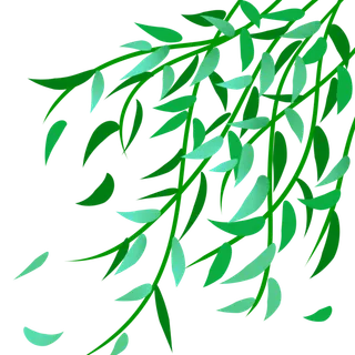 春天绿色春季水墨柳树柳条柳叶春季海报设计PNG免扣素材