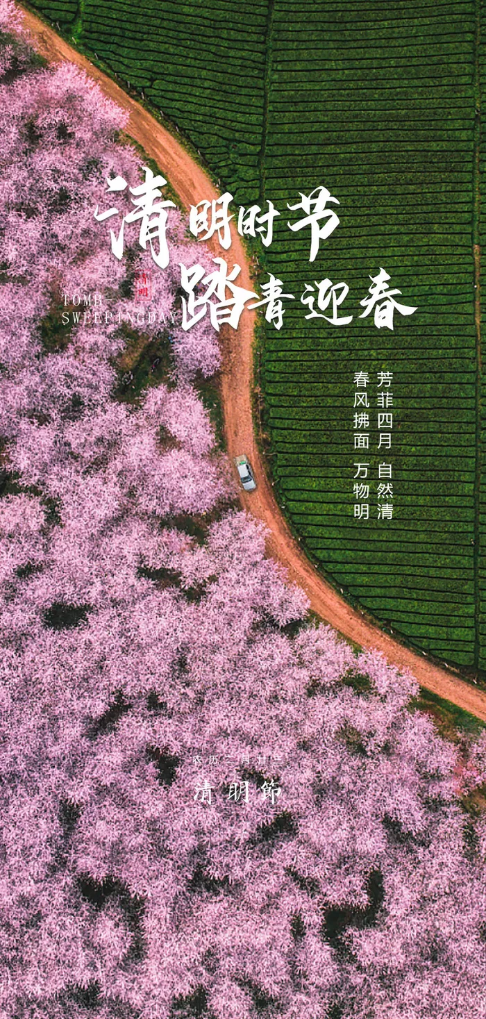 山水意境清明节节气海报psd模版下载