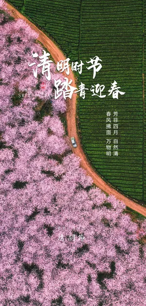 山水意境清明节节气海报