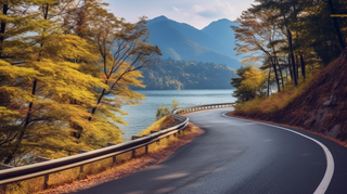 秋天湖边的公路遍布着黄了的树落叶摄影图