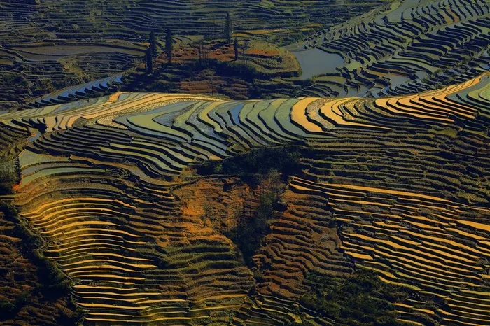 云南元阳梯田风景素材