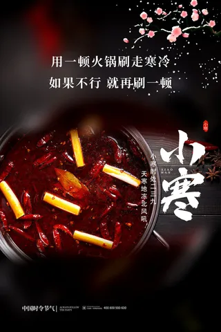 中国传统小寒祝福24二十四节气节日宣传活动海报