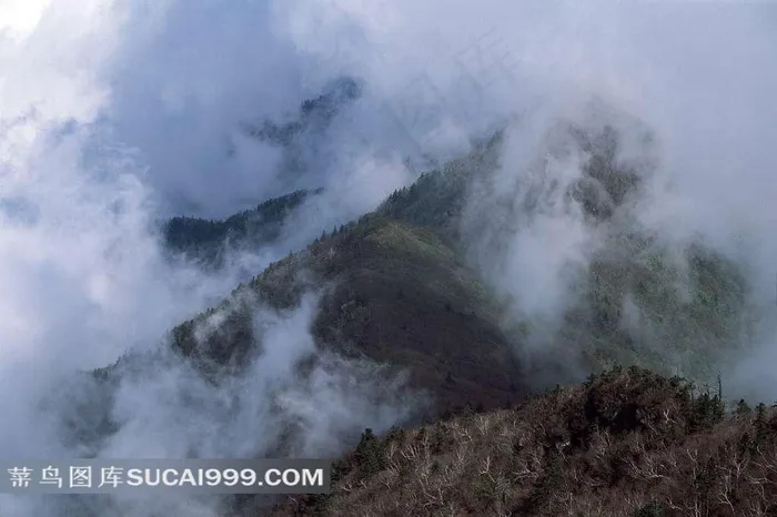 山水剪影云雾中的山峰