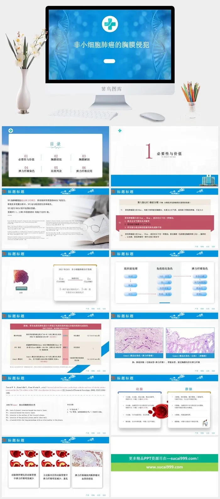 非小细胞肺癌的胸膜侵犯医学课件ppt模板